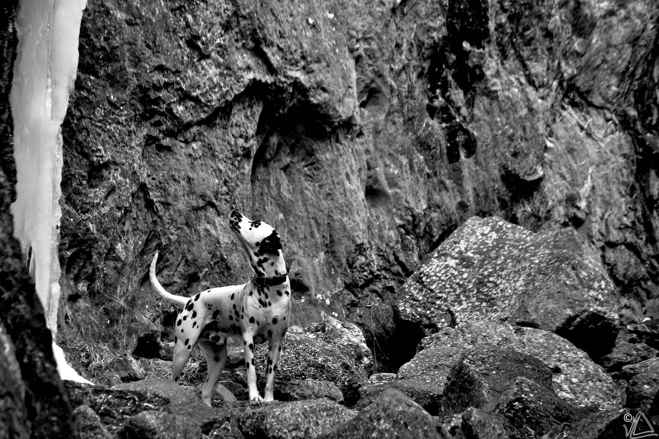 Espacios en blanco y negro.