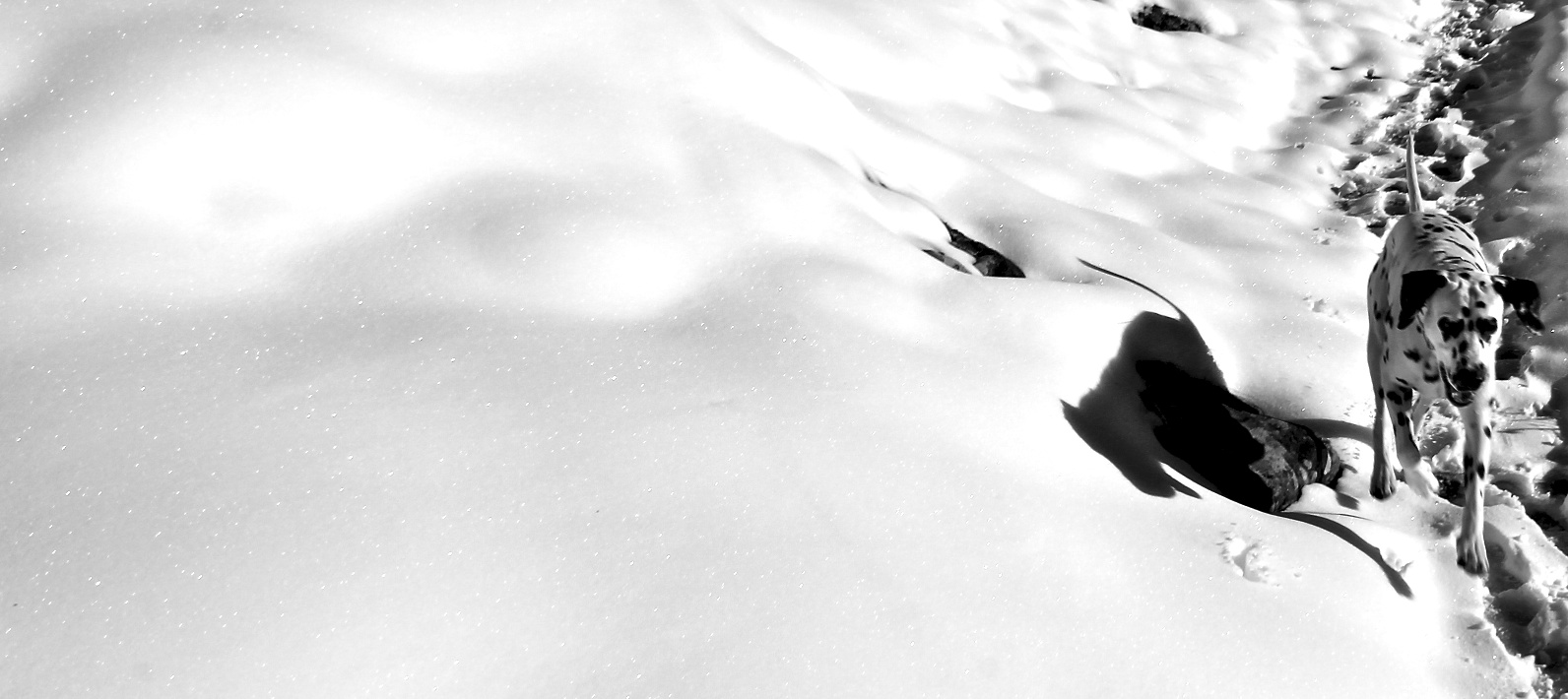 Espacios en blanco y negro.