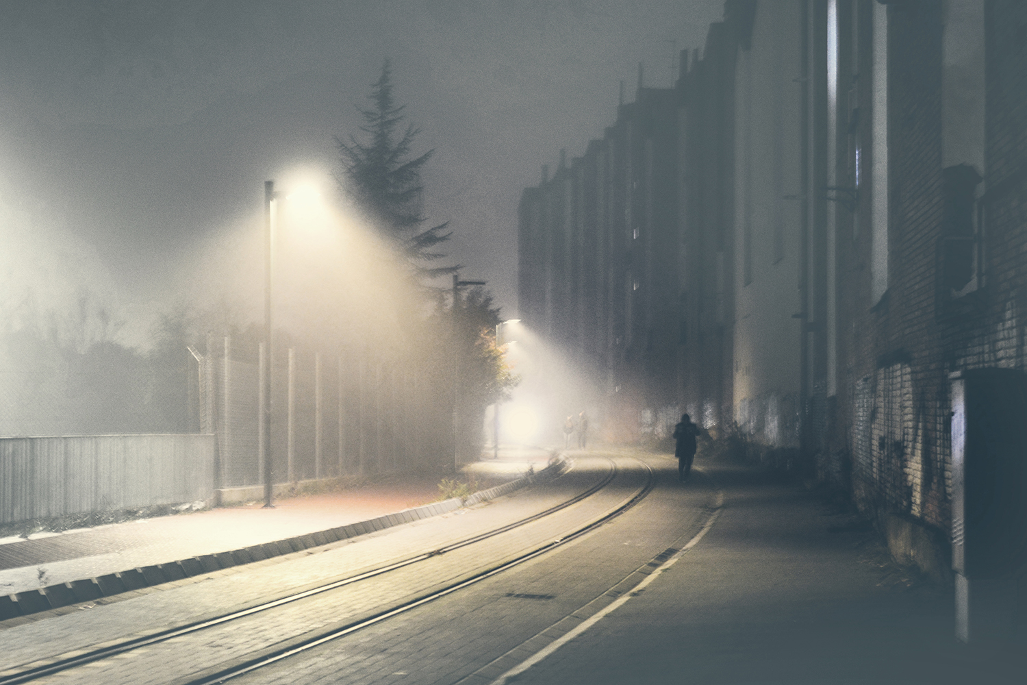 La magia de la niebla es la entrada a nuevos mundos, donde la oscuridad invita a la calma y despierta la curiosidad